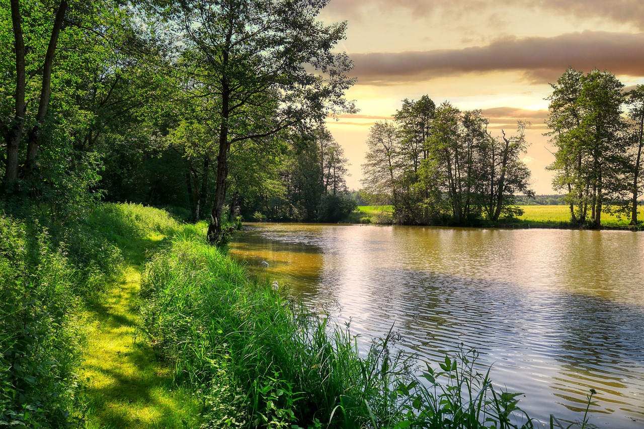 Could Urban Ponds Play a Role in Stormwater Management?